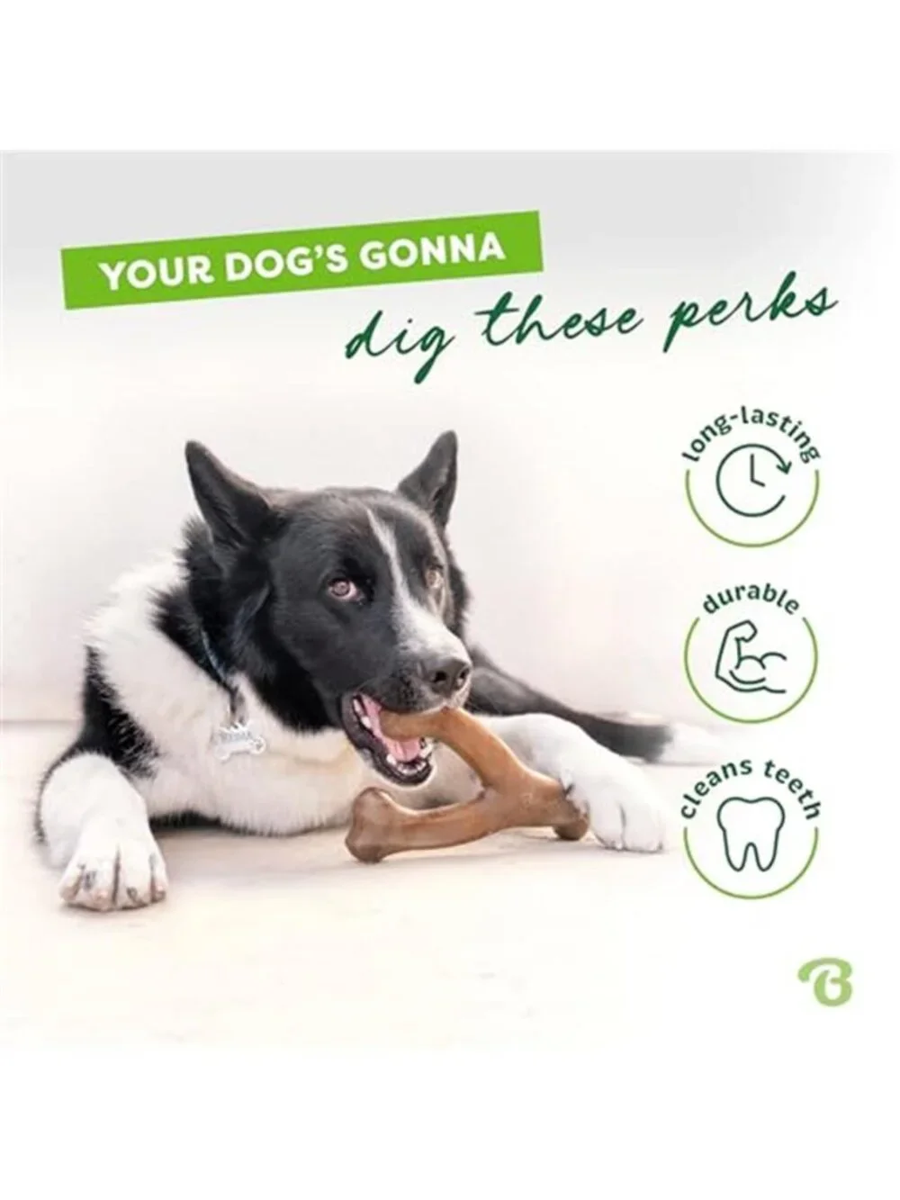 Benebone Wishbone Durable Dog Chew Toy for Aggressive Chewers